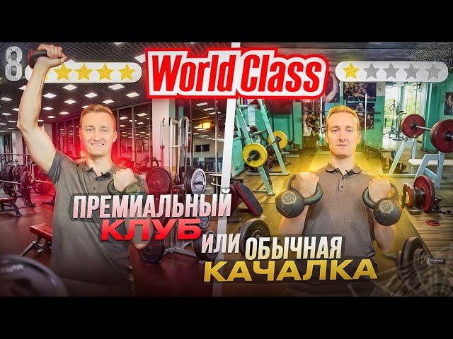 World Class - бизнес на фитнесе. Сколько приносит и как открыть свой спортзал