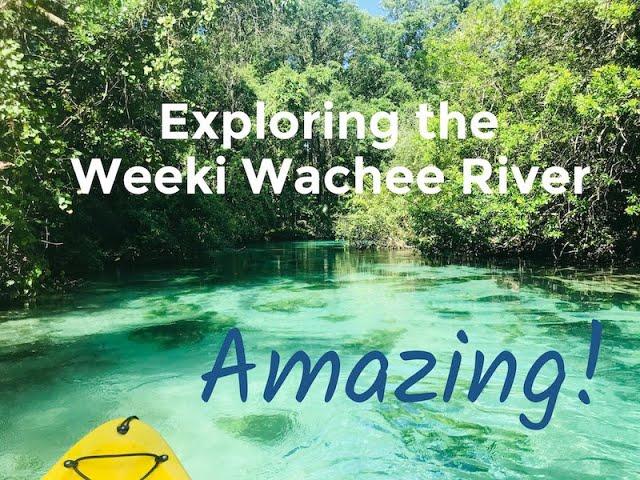 Exploring the Amazing Weeki Wachee River