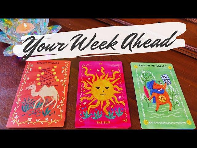 Your Detailed Week Ahead!  pick a card tarot reading | weekly forecast ️