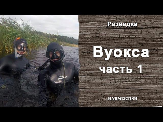 Вуокса. Подводная охота в Ленинградской области. Гидрокостюмы HAMMERFISH