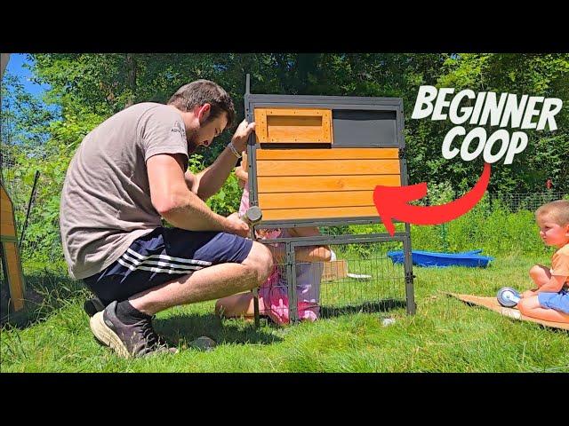 Best CHICKEN COOP For NEW Chicken Owners