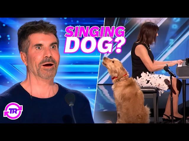 Simon Cowell's FAVORITE Dog Acts EVER!