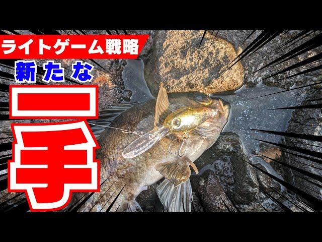 【メバリング】持ってて損なし！ジップベイツの新作ルアーで釣る！！