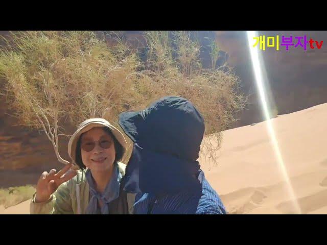 와디럼( Wadi Rum) 수만 년 전 낙타벽화 앞에서 디스커버리 촬영팀을 만나다(جدارية وادي رم الجمل)