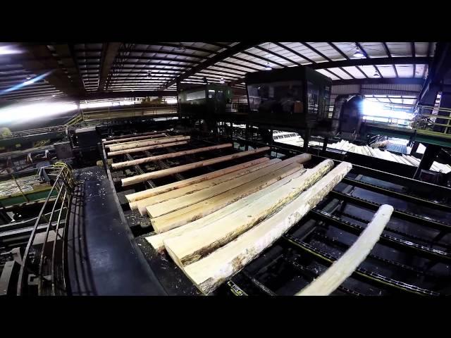 Collum's Lumber Products, LLC - Sawmill Tour