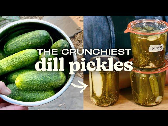 Canning pickles for beginners: 6 secrets to keep them crunchy!