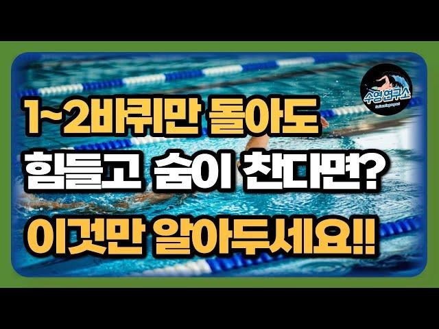 숨도 안 차고 오래 수영할 수 있는 방법 4가지!!(+장거리 수영 꿀팁)