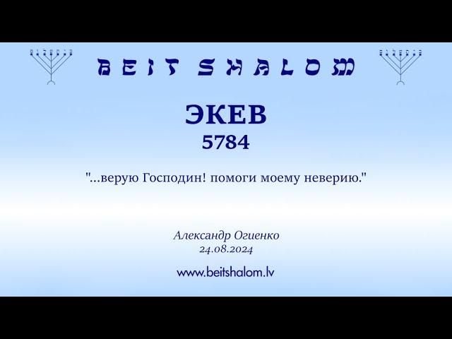 ЭКЕВ 5784. "...верую Господин! помоги моему неверию." (Александр Огиенко 24.08.2024)