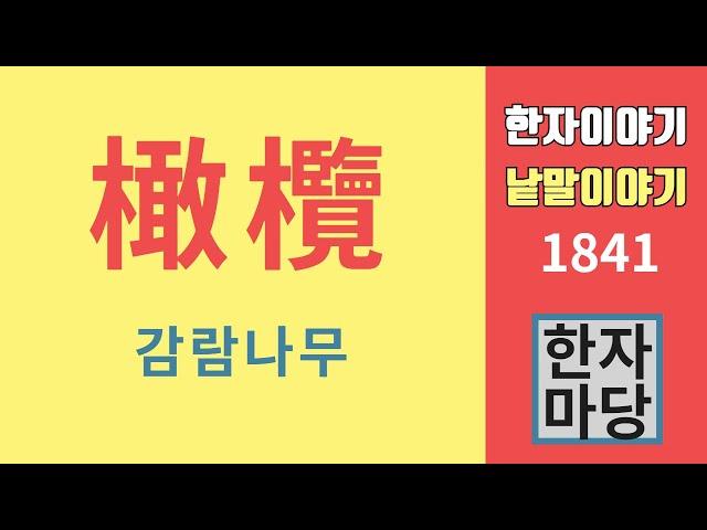 한자이야기 #1841 감람나무와 올리브나무... 성경에 잘못 번역된 나무 이름