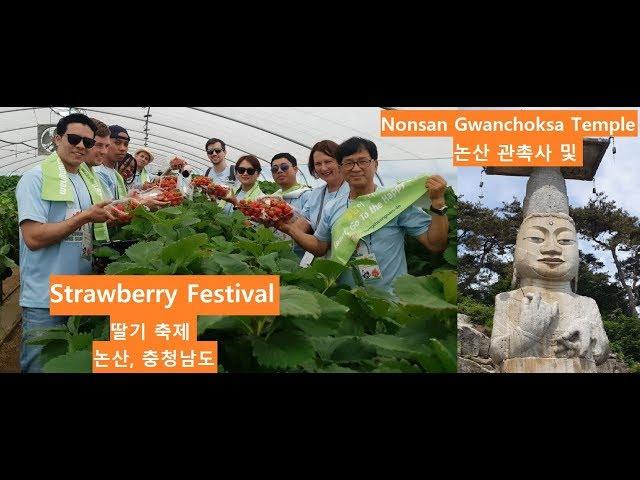 Nonsan Gwanchoksa Temple and Strawberry Festival