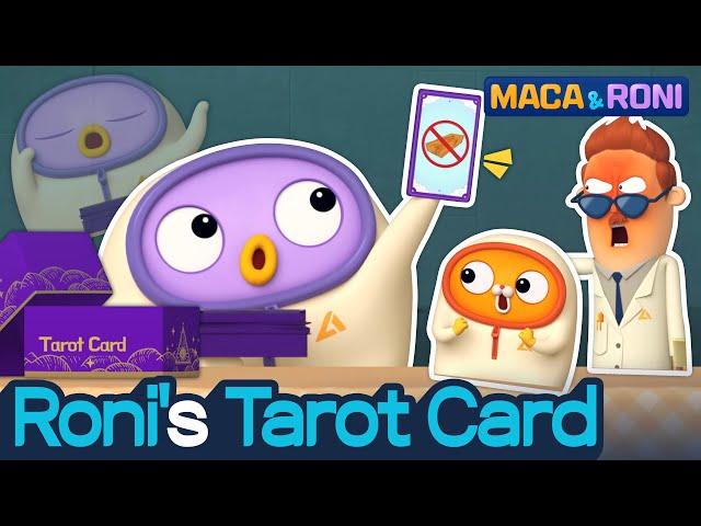 [MACA&RONI] Roni’s Tarot Card | Macaandroni Channel | Cute Animation