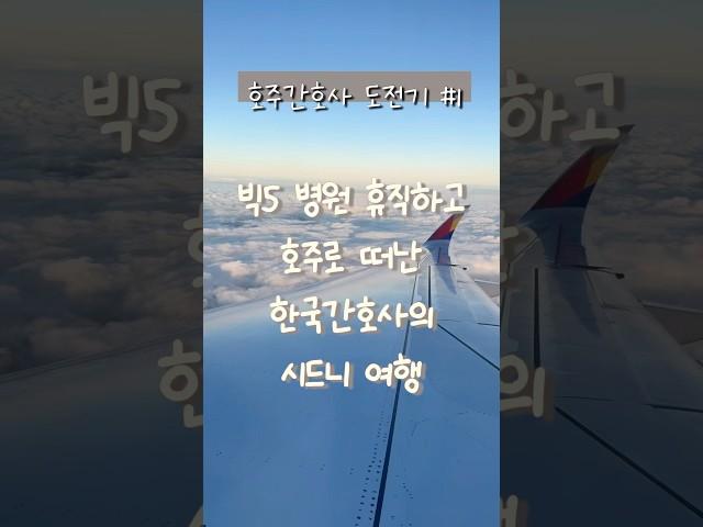 [호주간호사 도전기 #1] 빅5 병원 휴직하고 호주로 떠난 한국간호사의 시드니 여행
