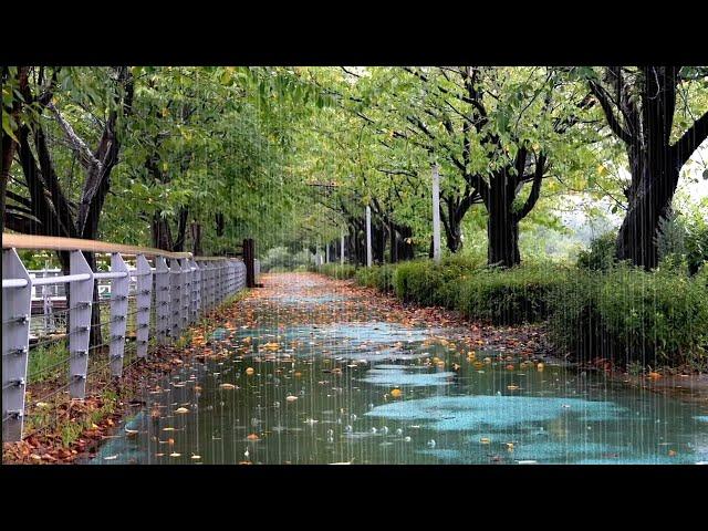 When you Can't Sleep, Listen to the Rain Sounds in the Park - Overcome Insomnia with White Noise