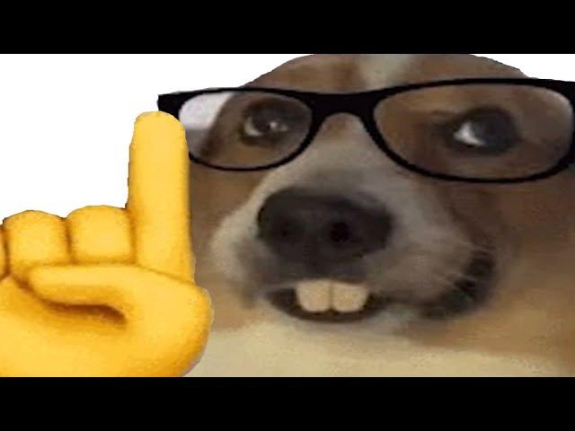 Top 5 Nerd 