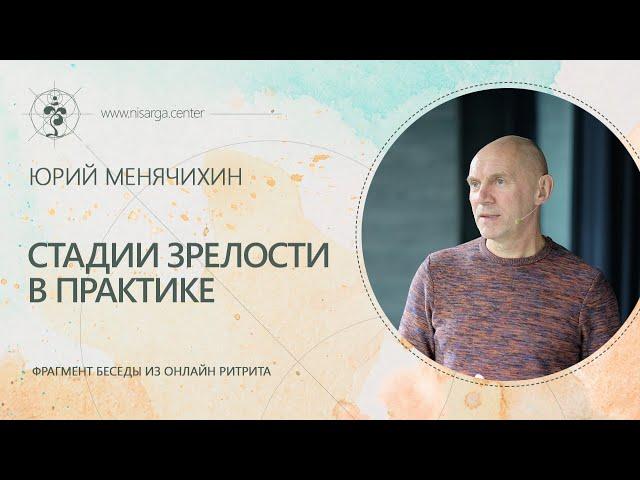 Стадии зрелости в практике. Юрий Менячихин