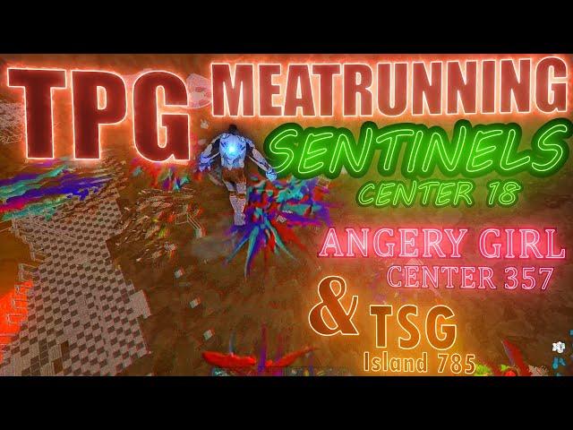 MEATRUNNING Sentinels New Center + Angery Girl & TSG | TPG | ARK Official PvP