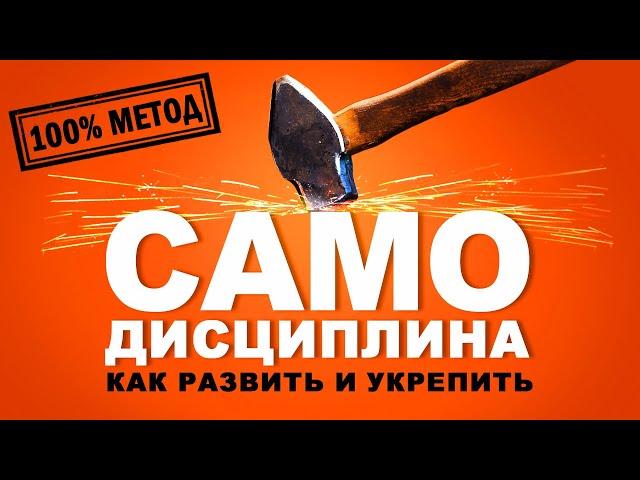 Самодисциплина. Как развить и укрепить? Аудиокнига целиком