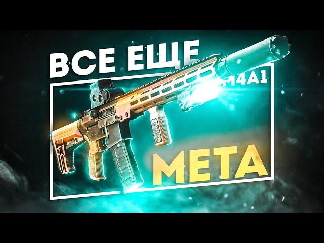 ВСЕ ЕЩЕ МЕТА? ОБЗОР M4A1 В ТАРКОВЕ | СБОРКИ НА ЛЮБОЙ КАРМАН!