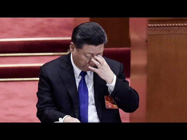 习近平反腐开杀戒：死刑不缓期，直接执行！一亿贪污是红线，小官腐败人头落地：六度解析20240908