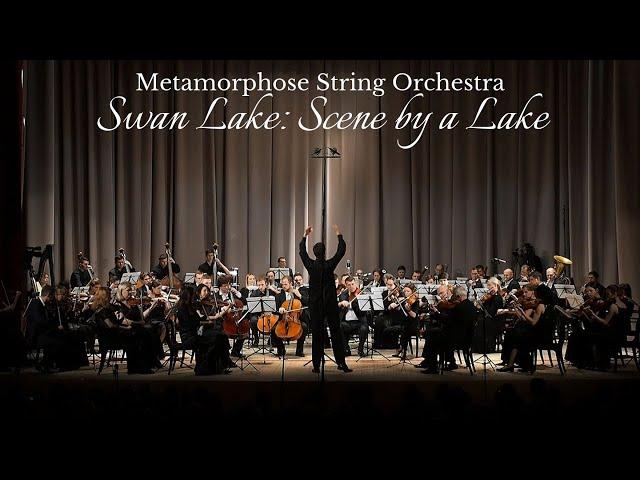 Tchaikovsky - Swan Lake Theme (Metamorphose String Orchestra)