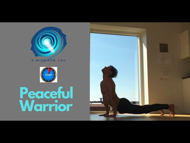 Peaceful Warrior Full Body Training 5 Minute Workout