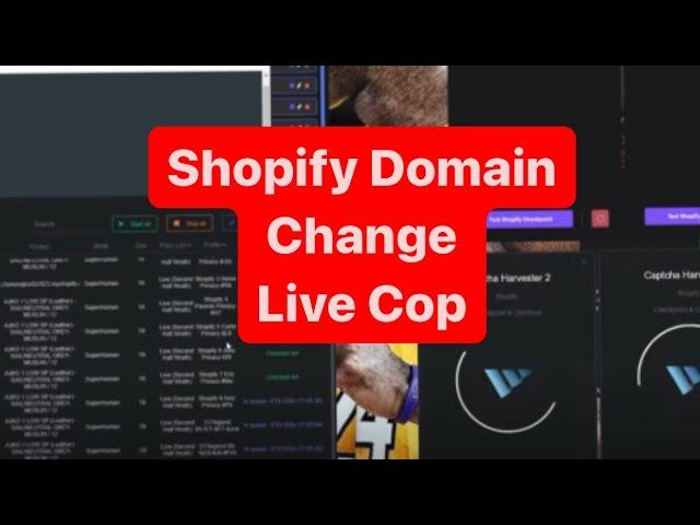 Shopify Domain Change Live Cop:  Valor & Wrath