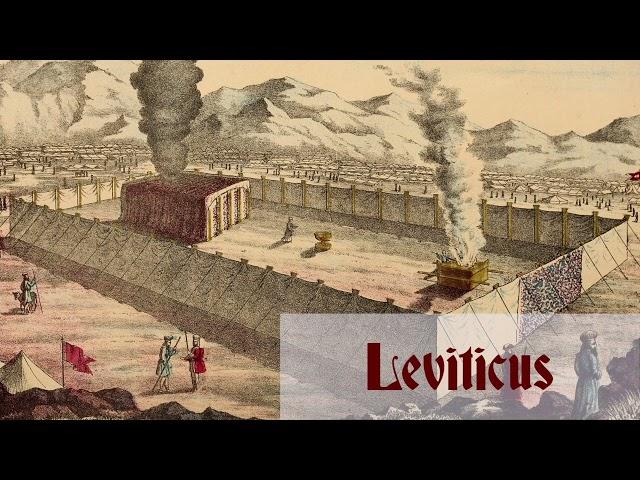 Leviticus: Chapter-by-Chapter Commentary