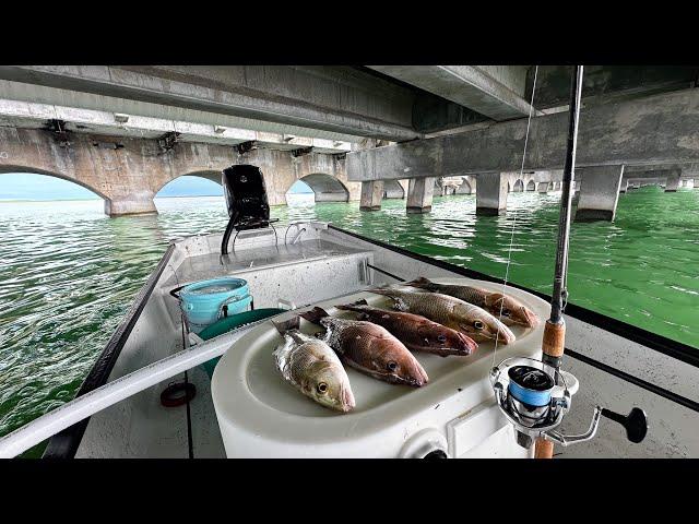 70 Mile Day | Rock Piles To Bridge Fishing | Crispy Skin Snapper