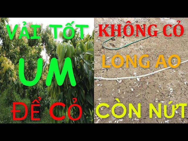 Chuyên gia và anh em làm vườn đều không biết vấn đề này.