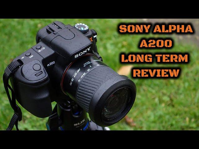 Sony Alpha A200: Long Term Review