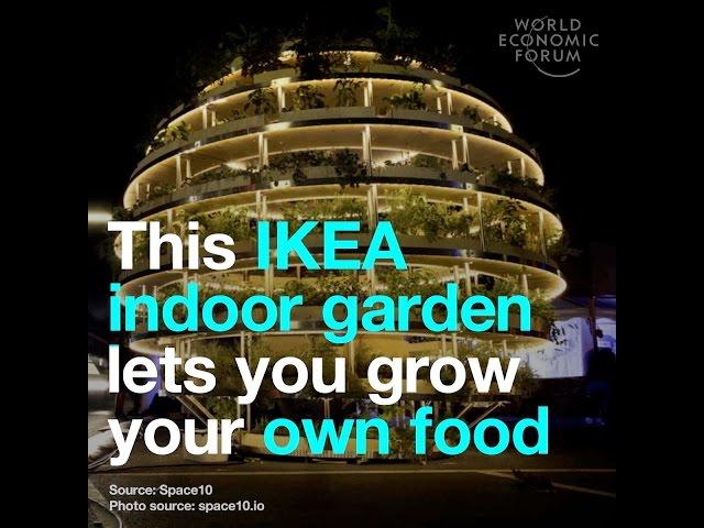 This IKEA indoor garden lets you grow your own food