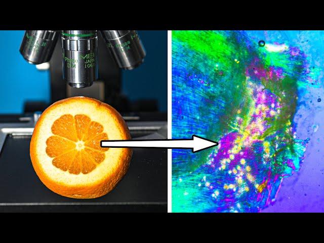 The Beauty of Orange Revealed Under Microscope