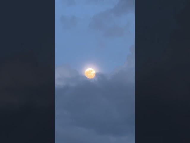 Beautiful Moon at Battambang Airport. 18-08-2024 #1000subscriber #cellcardplay #tena #1millionviews