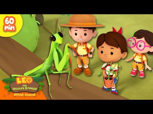 IS THAT AN ALIEN FROM MARS?!  | Interesting Insects | Leo the Wildlife Ranger | Kids Cartoon