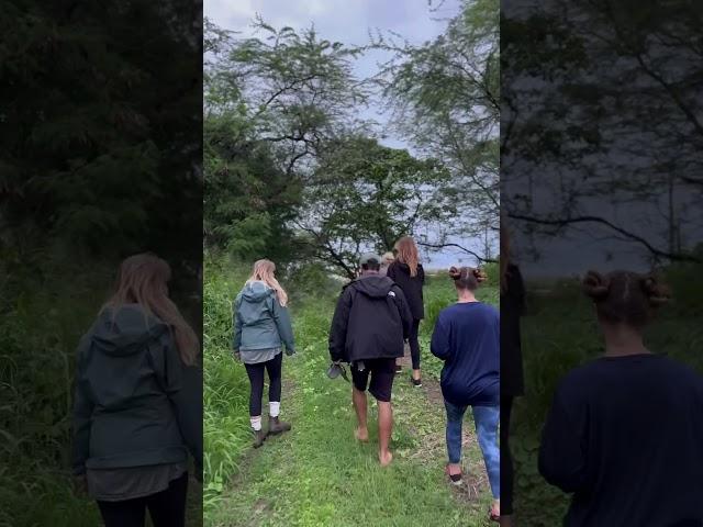 Hāmākua Wildlife Sanctuary adventures we helped take weeds out and plant new trees