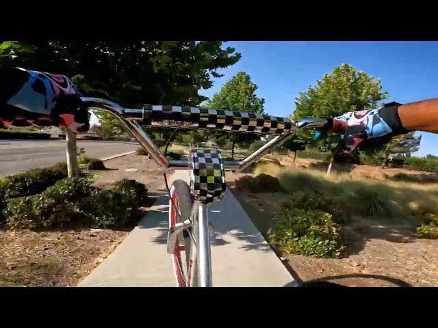 SE BIKES CITY GROUNDS BIG RIPPER BIKE CHECK