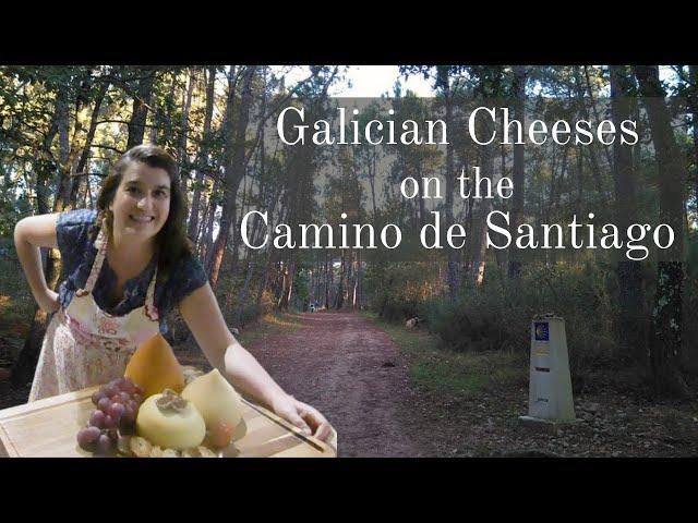 Camino 101: Galician Cheeses on the Camino de Santiago