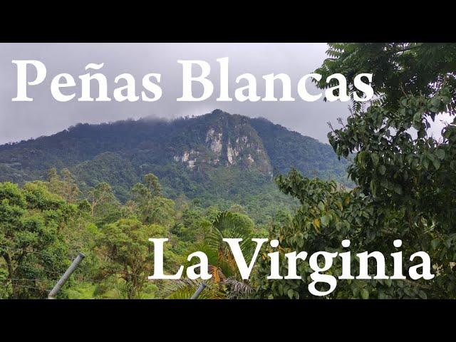 La Virginia & Peñas Blancas, Quindío (Armenia, Colombia)