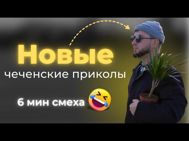 Новые чеченские приколы 2024|Адам киллер