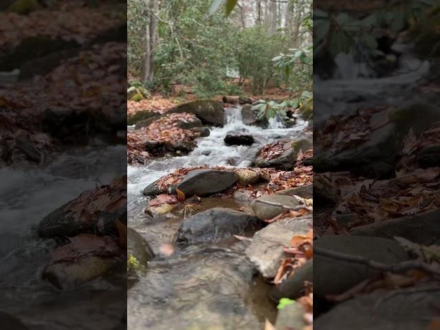 Creek in Maggie Valley NC