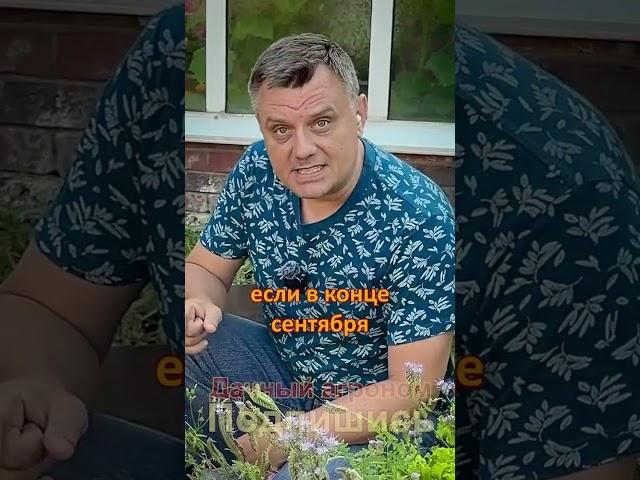 Секреты посевов в июле от агронома