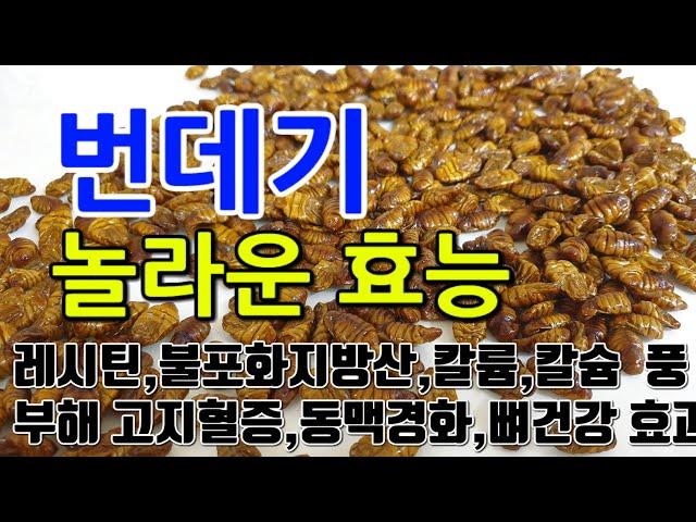 [번데기 효능] "건강의 비밀, 번데기: 단백질과 미네랄의 보물" 번데기로 채우는 영양 가득한 다이어트