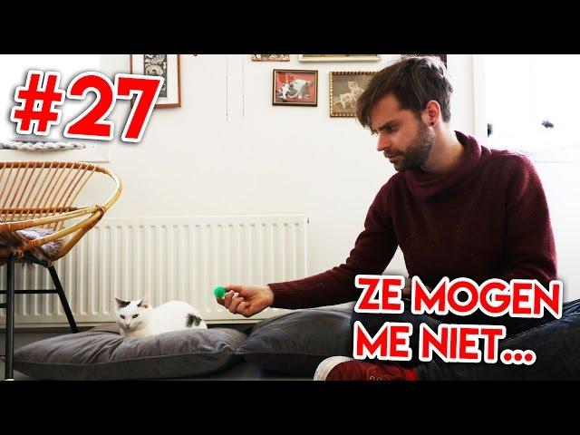 Naar het kattencafé! - KOEN DATE ROOS #27