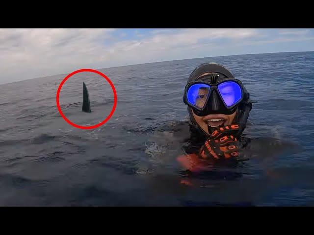 6 Shark Encounters That Will Haunt You