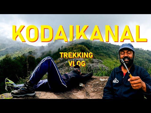 Trekking in Kodaikanal | Exploring the Peaks in Kodaikanal | vlog #2