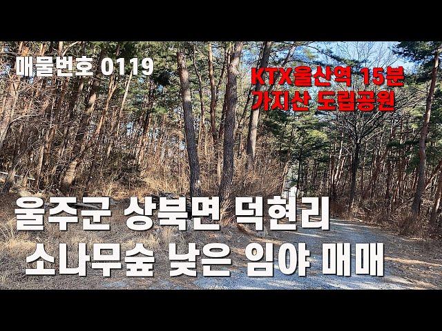 울산시 울주군 상북면 덕현리 1150-4외2필지 임야 매매
