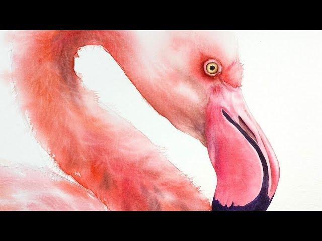 How to paint the softest fluffiest feathers of a flamingo