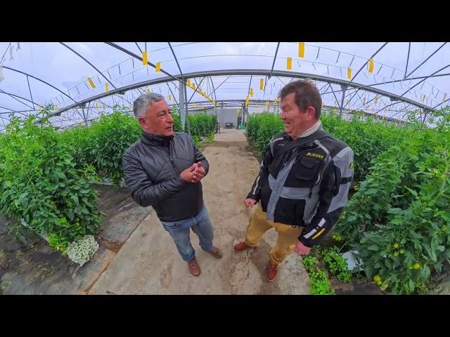 The Beanstalk Global Jose Coutinho – Hortipor - Broadcast trailer!