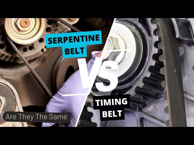 Serpentine Belt vs Timing Belt: Are They The Same?