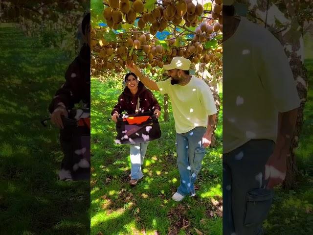Kiwi  Farm Inder and kirat viral video  #shorts #viral #fanpage #inderkirat